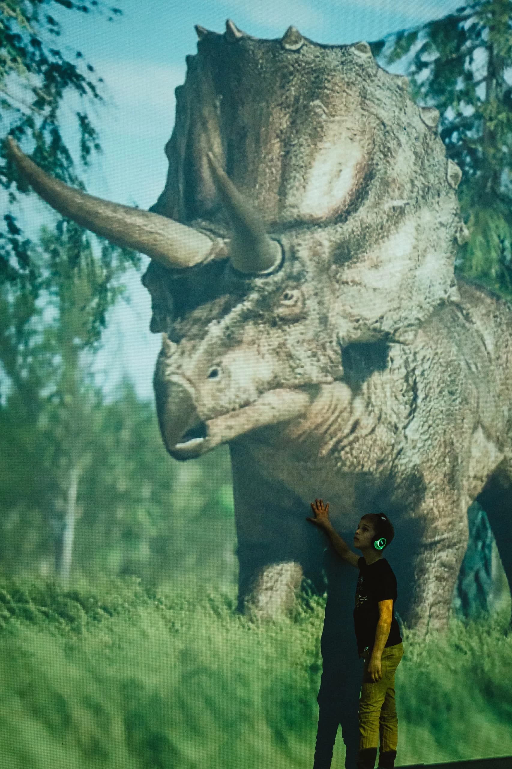 A child reaches up to a life-size triceratops in a projected forest
